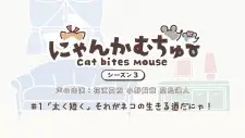 Nyankamuchu Season 3