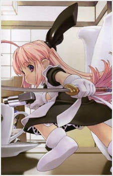 Capa de Ichigeki Sacchuu!! Hoihoi-san