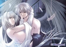 Imagen de Angel's Feather