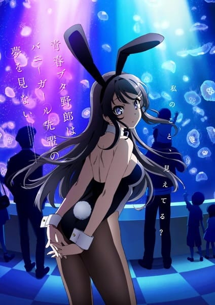 HD wallpaper: Anime, Seishun Buta Yarou wa Bunny Girl Senpai no Yume wo  Minai