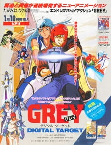 Capa de Grey: Digital Target