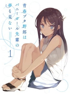Seishun Buta Yarou wa Bunny Girl Senpai no Yume wo Minai Picture Drama Sub Indo