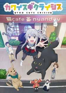 Capa de Kawaisugi Crisis