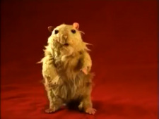 Poster de Hamster Sam