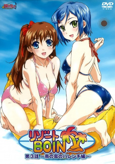 Imagen de Resort Boin