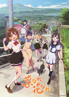 Poster de Na Nare Hana Nare