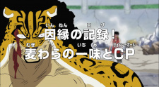 One Piece: Innen no Log! Mugiwara no Ichimi to Cipher Pol