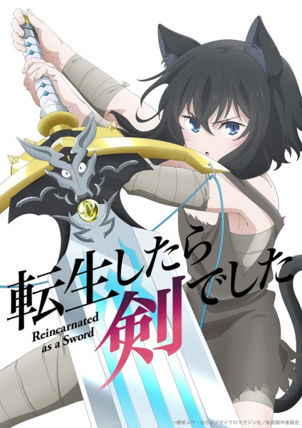 Tensei shitara Ken Deshita Anime Cover