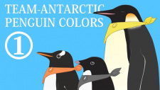 Capa de Nankyoku Penguin Colors
