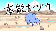 Honnou da Zou