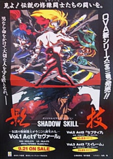 Imagen de Shadow Skill (1996)