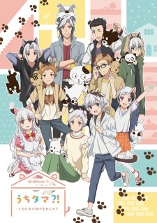 Capa de Uchi Tama?! Uchi no Tama Shirimasen ka?