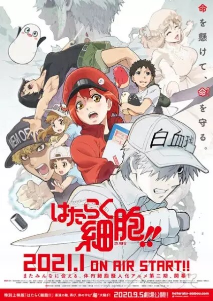 Anime: Hataraku Saibou Black (TV) Type: TV Episode: 13 Episodes: 13 Status:  Finished Aired: Jan 10, 2021 to ? Premiered: Winter…