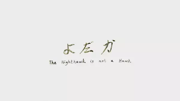 The Nighthawk Is Not a Hawk