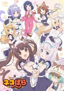 Nekopara Series