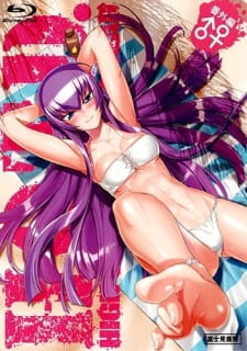 Capa de Highschool of the Dead: Drifters of the Dead