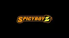Cover image for Spicy Boy Z