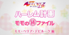 Capa de Momo no Rakuen Keikaku Maruhi File
