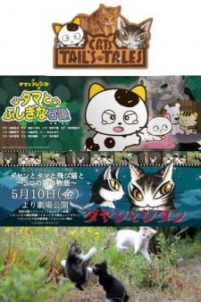 Capa de Dayan to Tama to Tobi Neko to: 3-tsu no Neko no Monogatari