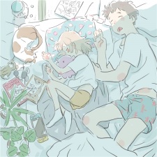 Capa de Natsu no Niwa