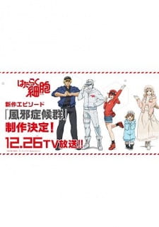 Capa de Hataraku Saibou: Kaze Shoukougun
