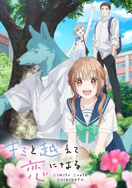 Kimi to Koete Koi ni Naru Daijesuto Eizo
