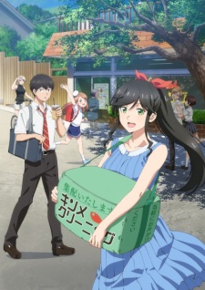 Poster de Kirei ni Shitemoraemasu ka.
