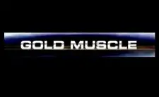 Cover image for Gold Muscle