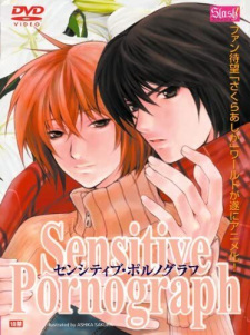 Imagen de Sensitive Pornograph