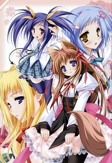 Background Cover