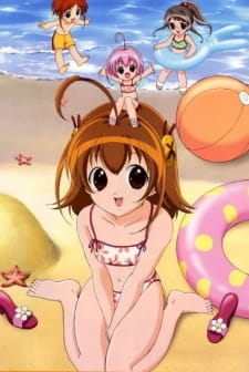 Imagen de Chicchana Yukitsukai Sugar
