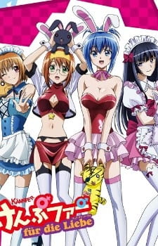 Capa de Kämpfer für die Liebe
