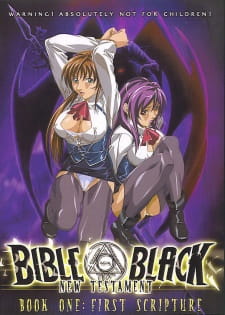 Imagen de Bible Black: New Testament