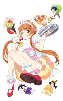 Capa de Nisekoi OVA