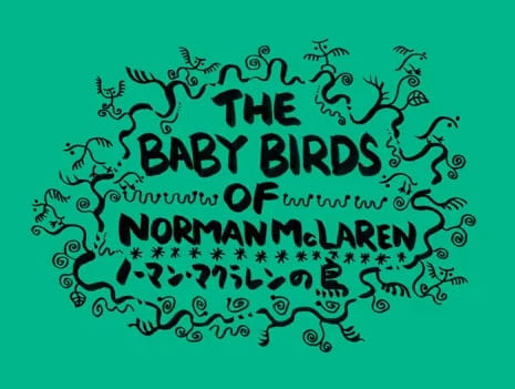 The Baby Birds of Norman McLaren, The Baby Birds of Norman McLaren