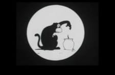 Imagen de Saru Masamune