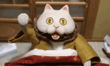 Capa de Kotatsu Neko