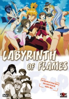 Capa de Honoo no Labyrinth