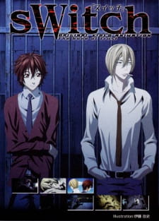 Capa de Switch