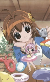 Imagen de Chicchana Yukitsukai Sugar