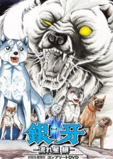 Capa de Ginga Nagareboshi Gin