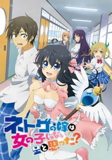 Capa de Netoge no Yome wa Onnanoko ja Nai to Omotta?