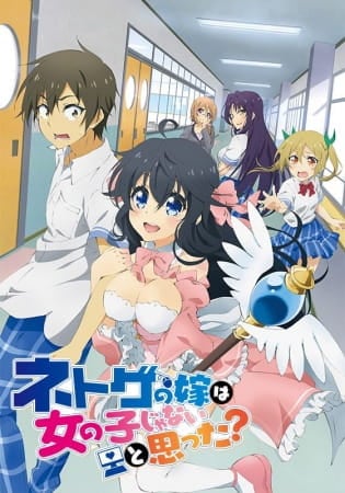 cover-Netoge no Yome wa Onnanoko ja Nai to Omotta?