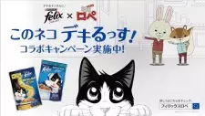 Cover image for Felix x Kamiusagi Rope