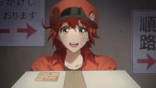 Capa de Hataraku Saibou CM