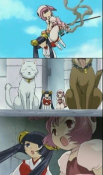Imagen de Chobits: Chibits