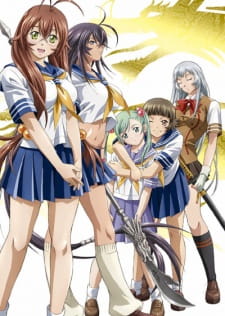 Imagen de Ikkitousen: Dragon Destiny