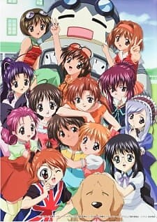 Background Cover