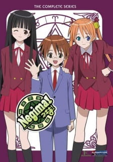 Imagen de Mahou Sensei Negima!