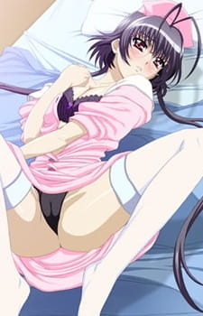 Imagen de Yakin Byoutou San